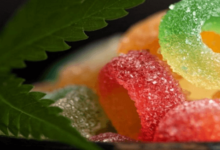 Did Shark Tank Invest in Cbd Gummies