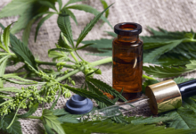 What Does Cbd Oil Do for Massage