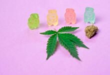 best cbd gummies available
