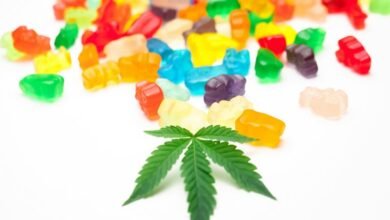 cannabidiol infused edible products