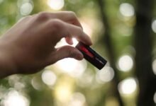 cbd and memory effects