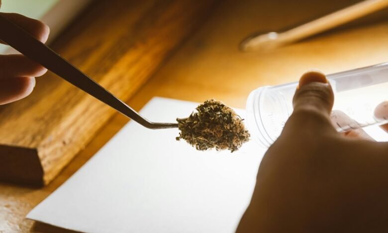 cbd drug test results