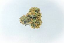 cbd flower legality question