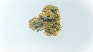 cbd flower legality question