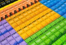 cbd for dogs safety