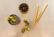 cbd uses and benefits
