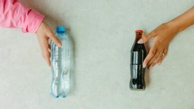 cbd versus alcohol comparison