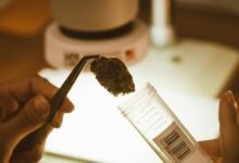 labcorp testing for cbd