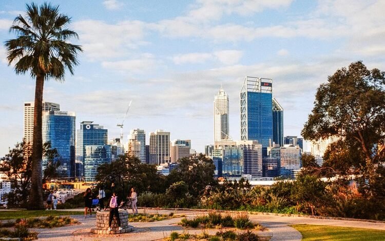 locate cbd sources nearby