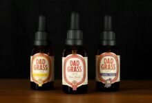 understanding cbd products benefits