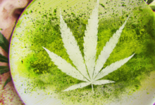 Cannabis Marketing Agency Trends to Watch in 2025