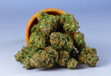 Understanding Ratios and Potency in Medical Cannabis Care