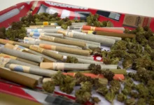 Pre-Rolls Become the Fastest-Growing Major Category in Cannabis