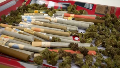 Pre-Rolls Become the Fastest-Growing Major Category in Cannabis